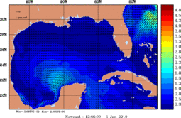wstr_20190601_1200.gif