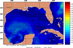 wstr_20190601_1800.gif