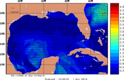 wstr_20190601_1200.gif