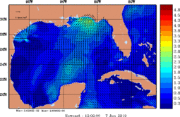 wstr_20190607_1200.gif