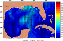 wstr_20190607_1800.gif