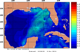 wstr_20190609_1200.gif
