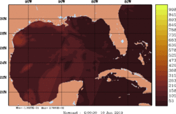 rad_20190610_0000.gif