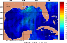 wstr_20190607_1800.gif
