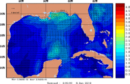 wstr_20190608_0600.gif