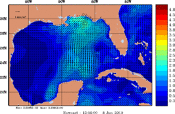 wstr_20190608_1200.gif