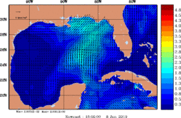 wstr_20190608_1800.gif