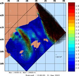 wstr_20220131_1200.gif