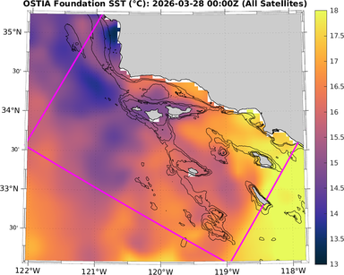 SST_20260328T0000Z_zoom.png