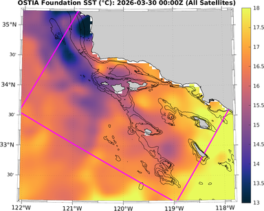 SST_20260330T0000Z_zoom.png