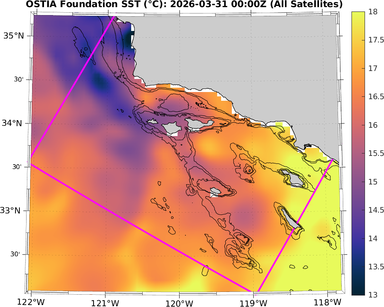 SST_20260331T0000Z_zoom.png